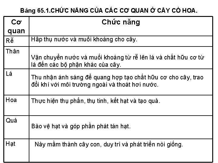 Bảng 65. 1. CHỨC NĂNG CỦA CÁC CƠ QUAN Ở C Y CÓ HOA.