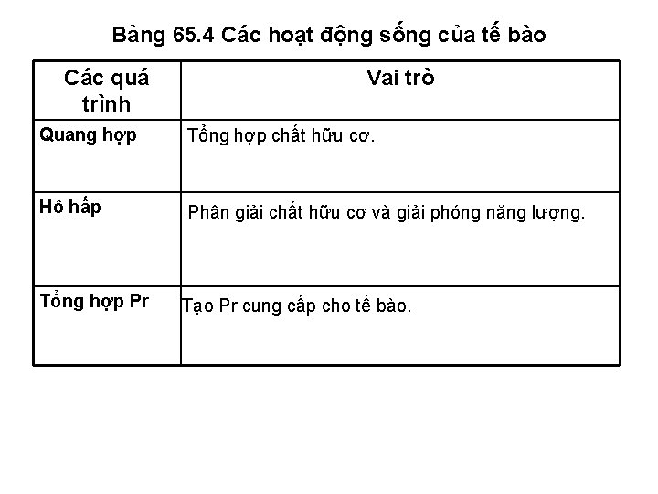 Bảng 65. 4 Các hoạt động sống của tế bào Các quá trình Vai