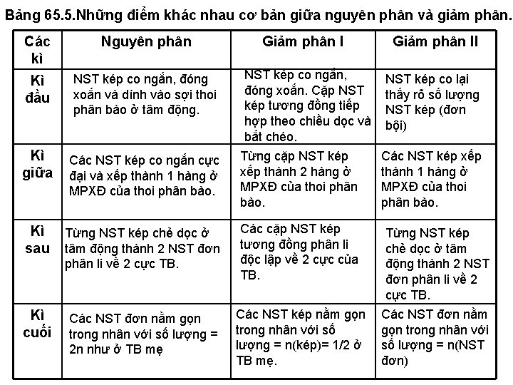 Bảng 65. 5. Những điểm khác nhau cơ bản giữa nguyên phân và giảm