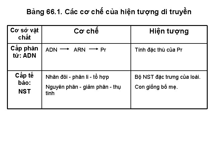 Bảng 66. 1. Các cơ chế của hiện tượng di truyền Cơ sở vật