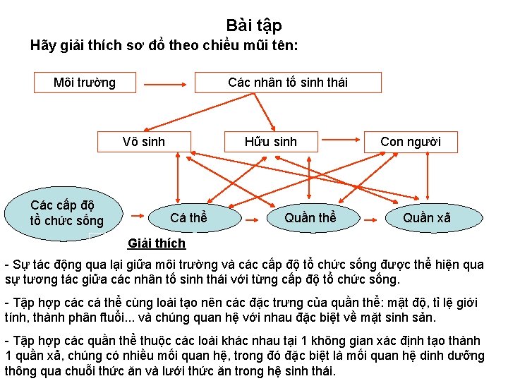 Bài tập Hãy giải thích sơ đồ theo chiều mũi tên: Môi trường Các