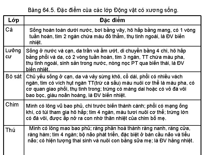 Bảng 64. 5. Đặc điểm của các lớp Động vật có xương sống. Lớp