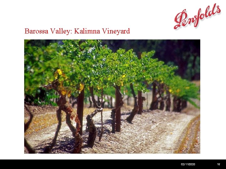 Barossa Valley: Kalimna Vineyard 02/11/2020 15 