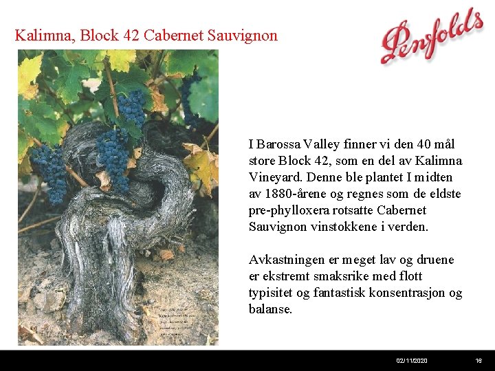 Kalimna, Block 42 Cabernet Sauvignon I Barossa Valley finner vi den 40 mål store