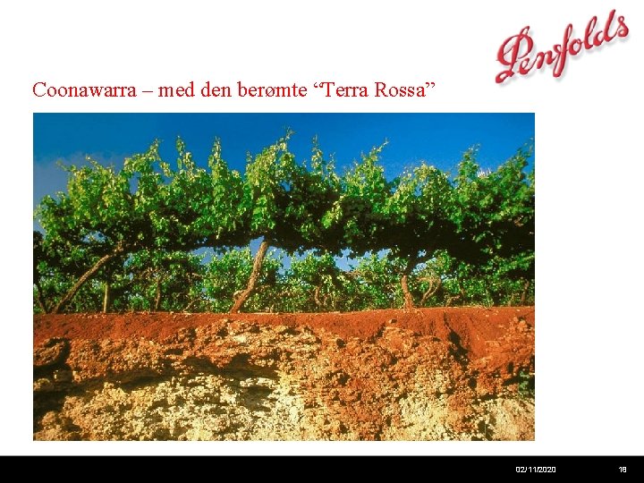 Coonawarra – med den berømte “Terra Rossa” 02/11/2020 18 