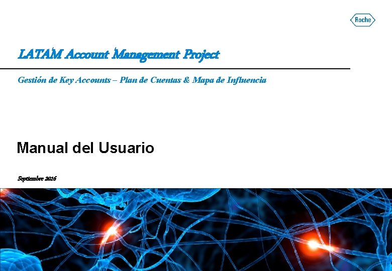 LATAM Account Management Project Gestión de Key Accounts – Plan de Cuentas & Mapa LATAM Account Management Project Gestión de Key Accounts – Plan de Cuentas & Mapa