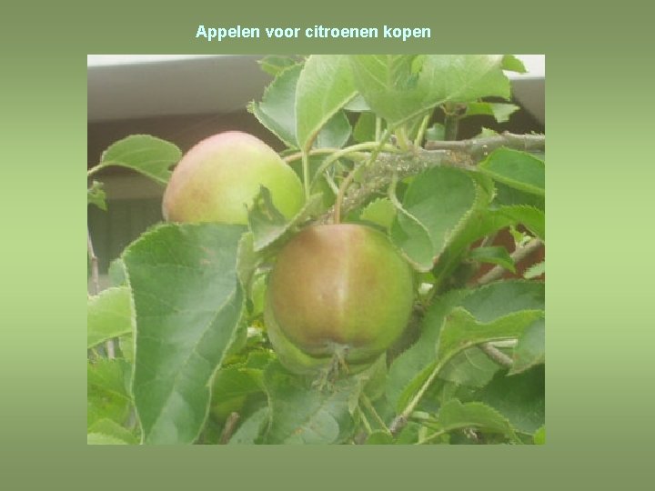 Appelen voor citroenen kopen 