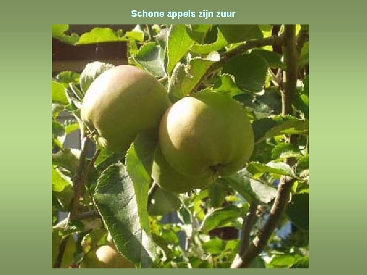 Schone appels zijn zuur 