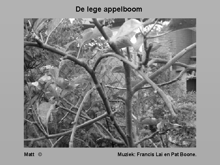 De lege appelboom Matt © Muziek: Francis Lai en Pat Boone. 