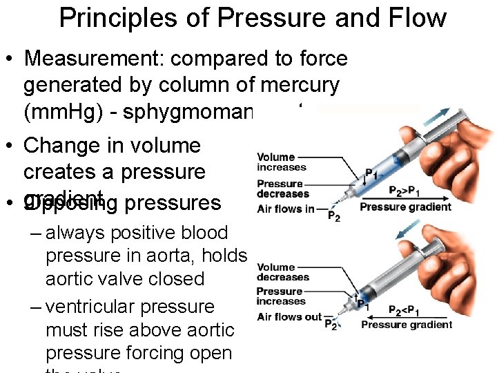 Principles of Pressure and Flow • Measurement: compared to force generated by column of