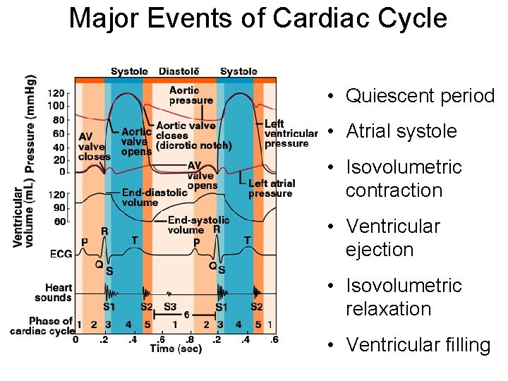 Major Events of Cardiac Cycle • Quiescent period • Atrial systole • Isovolumetric contraction