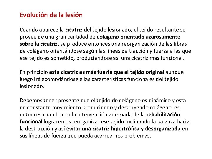 Evolución de la lesión Cuando aparece la cicatriz del tejido lesionado, el tejido resultante