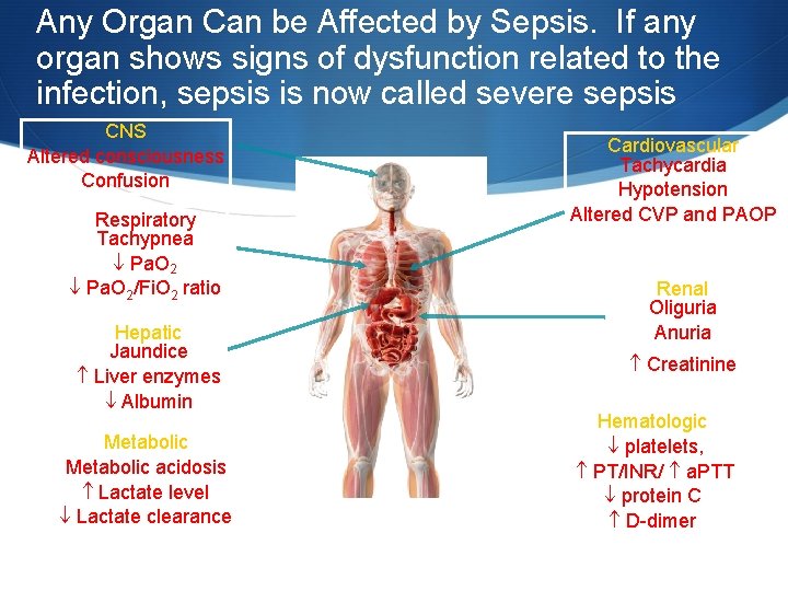 Any Organ Can be Affected by Sepsis. If any organ shows signs of dysfunction
