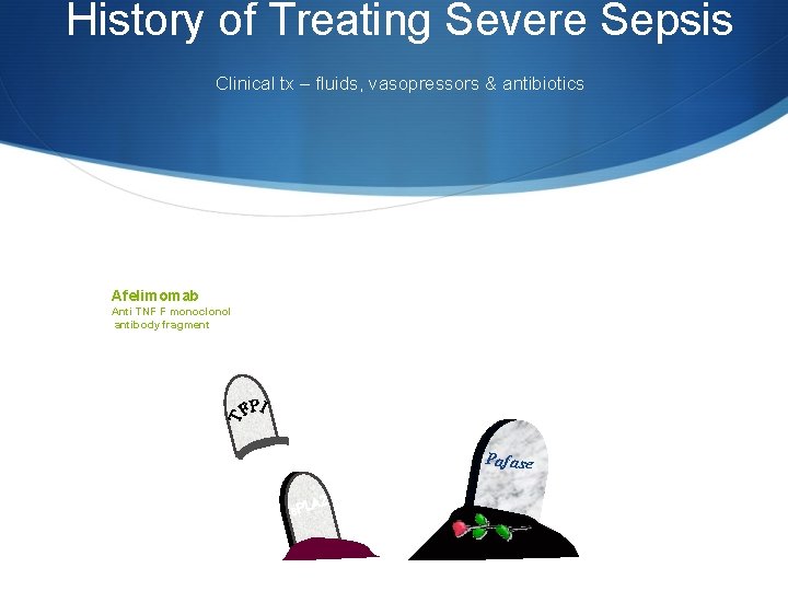 History of Treating Severe Sepsis Clinical tx – fluids, vasopressors & antibiotics Afelimomab Anti