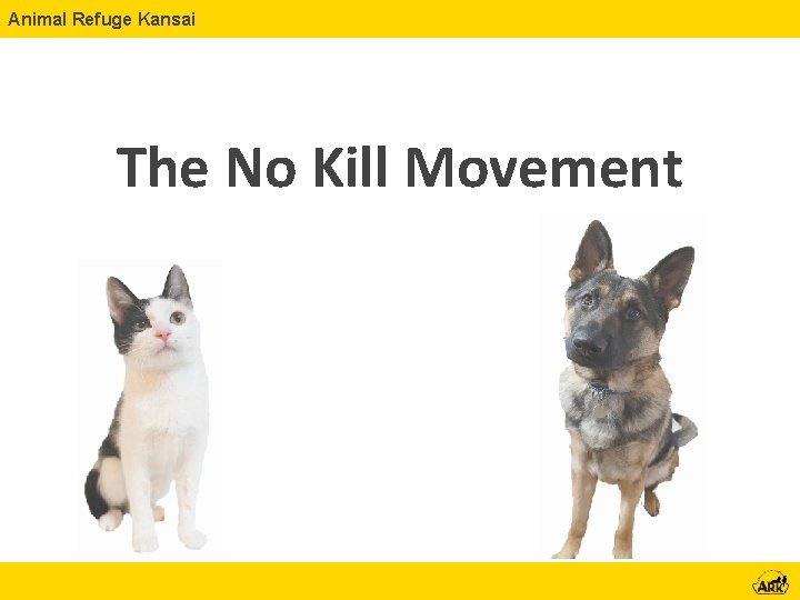 Animal Refuge Kansai The No Kill Movement 