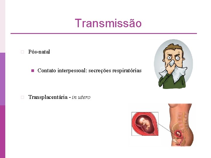 Transmissão p Pós-natal n p Contato interpessoal: secreções respiratórias Transplacentária - in utero 