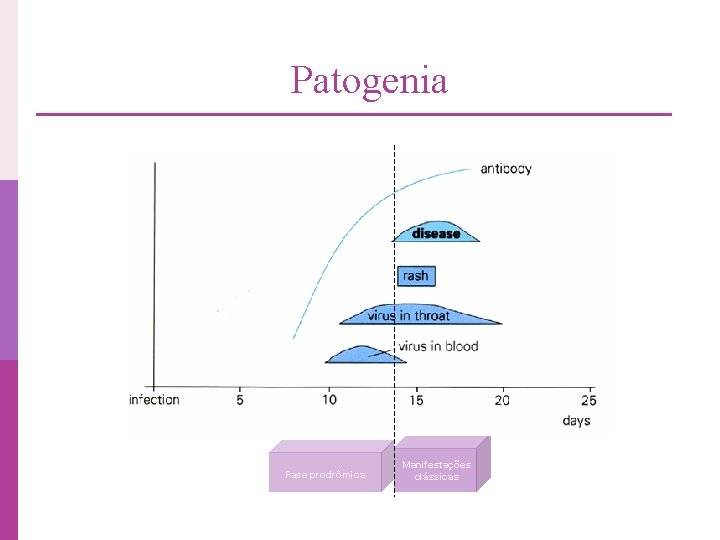 Patogenia Fase prodrômica Manifestações clássicas 