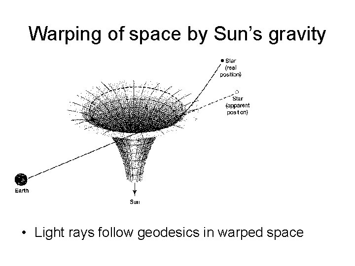 Warping of space by Sun’s gravity • Light rays follow geodesics in warped space