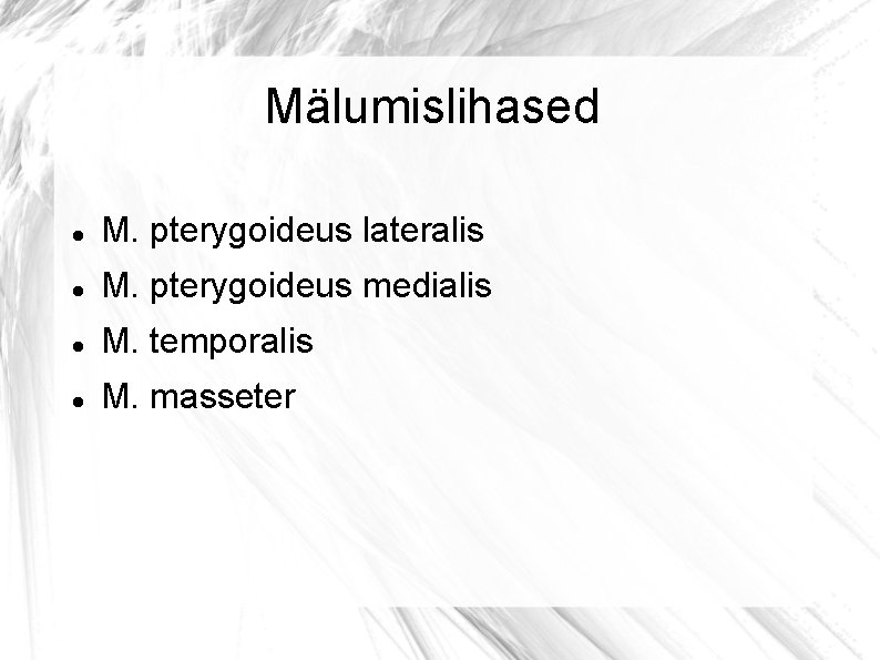 Mälumislihased M. pterygoideus lateralis M. pterygoideus medialis M. temporalis M. masseter 