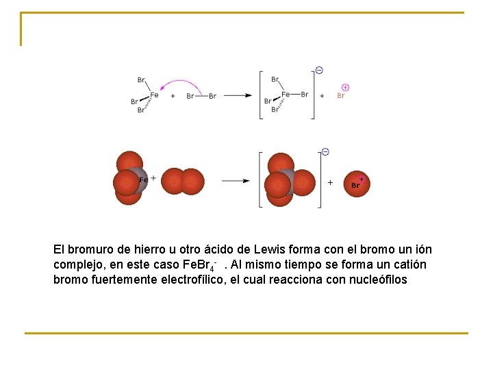 El bromuro de hierro u otro ácido de Lewis forma con el bromo un