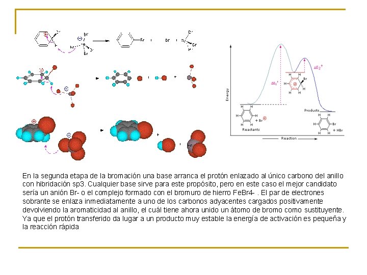 En la segunda etapa de la bromación una base arranca el protón enlazado al