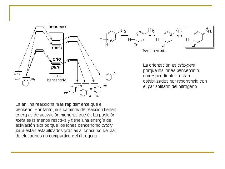 La orientación es orto-para porque los iones bencenonio correspondientes están estabilizados por resonancia con