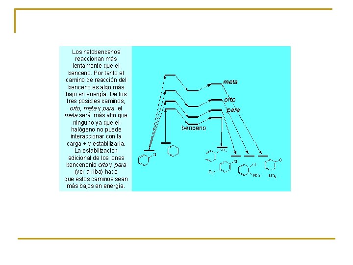Los halobencenos reaccionan más lentamente que el benceno. Por tanto el camino de reacción