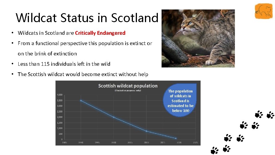 Wildcat Status in Scotland • Wildcats in Scotland are Critically Endangered • From a