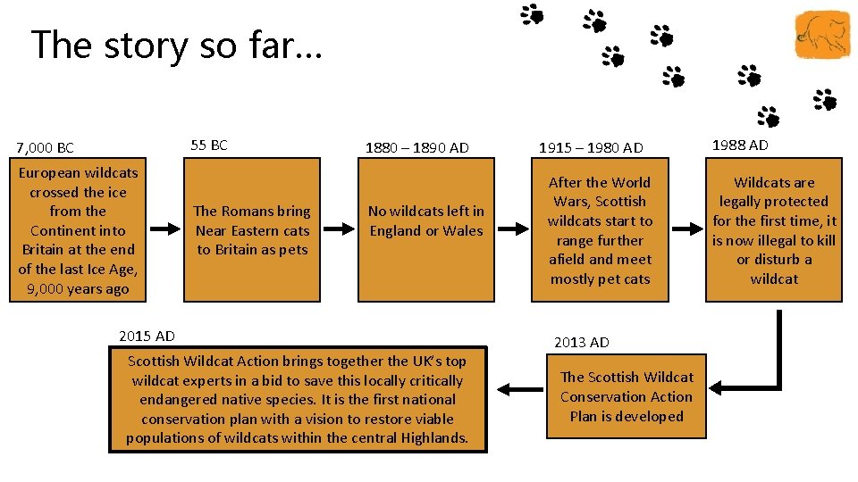 The story so far… 55 BC 7, 000 BC European wildcats crossed the ice