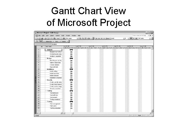 Gantt Chart View of Microsoft Project 