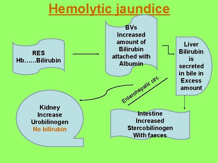 Hemolytic jaundice RES Hb……Bilirubin BVs Increased amount of Bilirubin attached with Albumin c. r