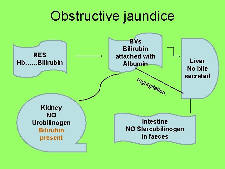 Obstructive jaundice RES Hb……Bilirubin BVs Bilirubin attached with Albumin reg urg i Kidney NO