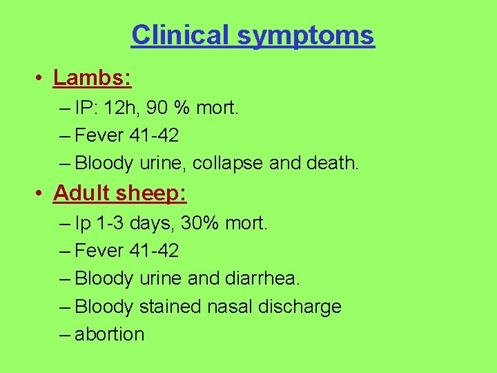 Clinical symptoms • Lambs: – IP: 12 h, 90 % mort. – Fever 41