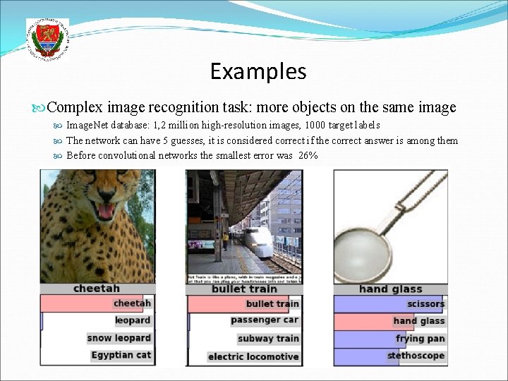 Examples Complex image recognition task: more objects on the same image Image. Net database: