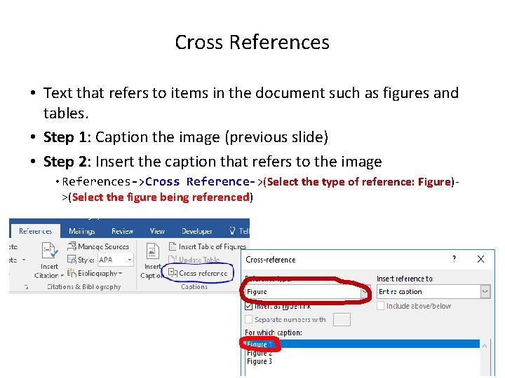 Cross References • Text that refers to items in the document such as figures