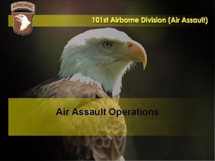 Air Assault Operations 