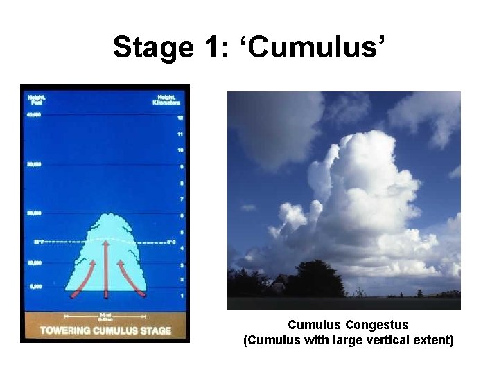 Stage 1: ‘Cumulus’ Cumulus Congestus (Cumulus with large vertical extent) 
