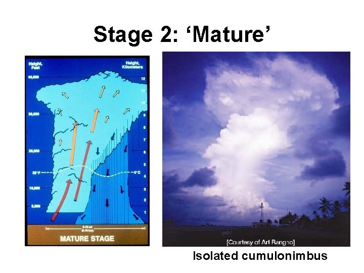 Stage 2: ‘Mature’ Isolated cumulonimbus 