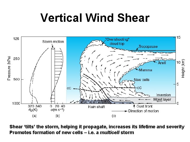 Vertical Wind Shear ‘tilts’ the storm, helping it propagate, increases its lifetime and severity