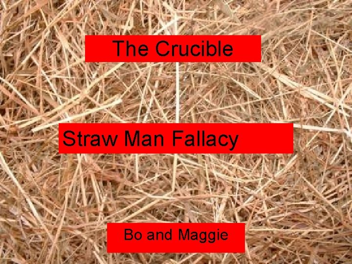 The Crucible Straw Man Fallacy Bo and Maggie 