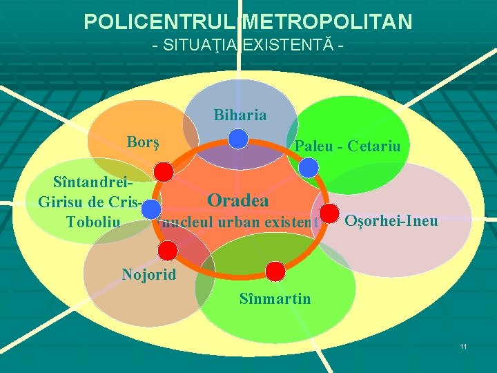 POLICENTRUL METROPOLITAN - SITUAŢIA EXISTENTĂ - Biharia Borş Paleu - Cetariu Sîntandrei. Oradea Girisu