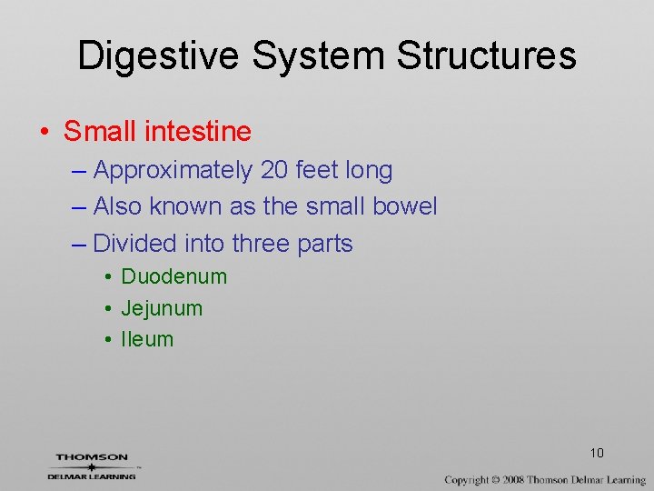 Digestive System Structures • Small intestine – Approximately 20 feet long – Also known