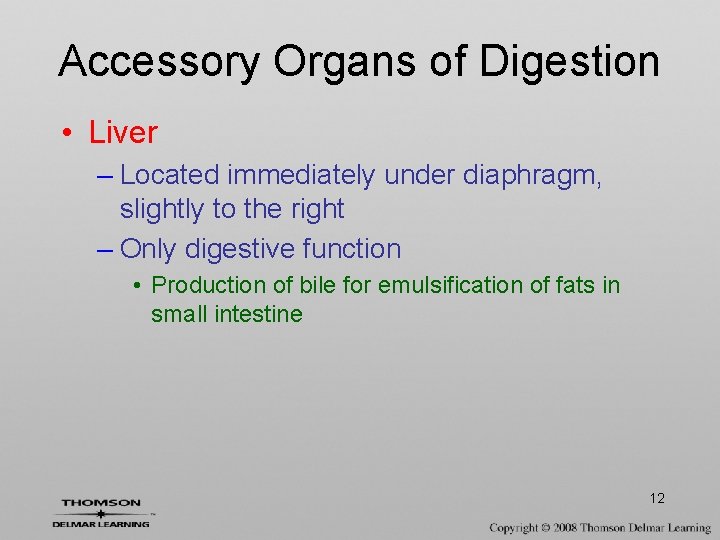 Accessory Organs of Digestion • Liver – Located immediately under diaphragm, slightly to the