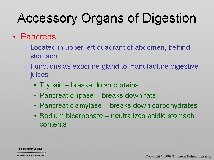 Accessory Organs of Digestion • Pancreas – Located in upper left quadrant of abdomen,