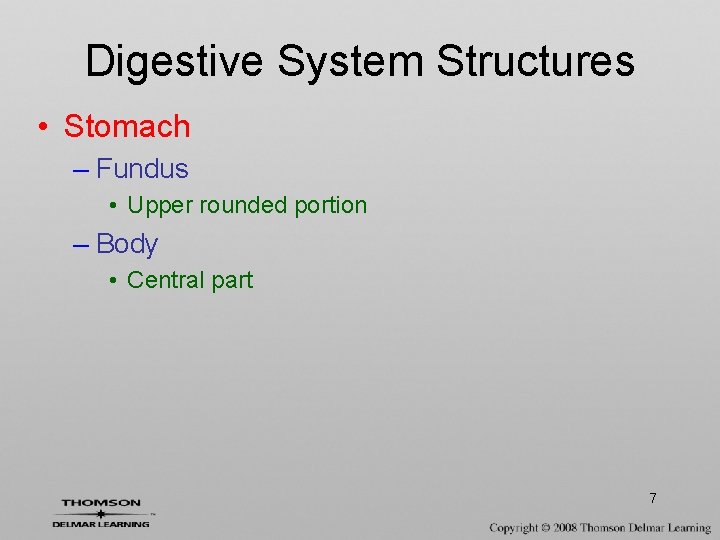 Digestive System Structures • Stomach – Fundus • Upper rounded portion – Body • Digestive System Structures • Stomach – Fundus • Upper rounded portion – Body •