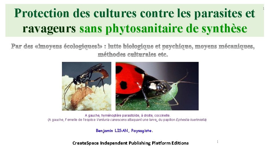 Protection des cultures contre les parasites et ravageurs sans phytosanitaire de synthèse A gauche,