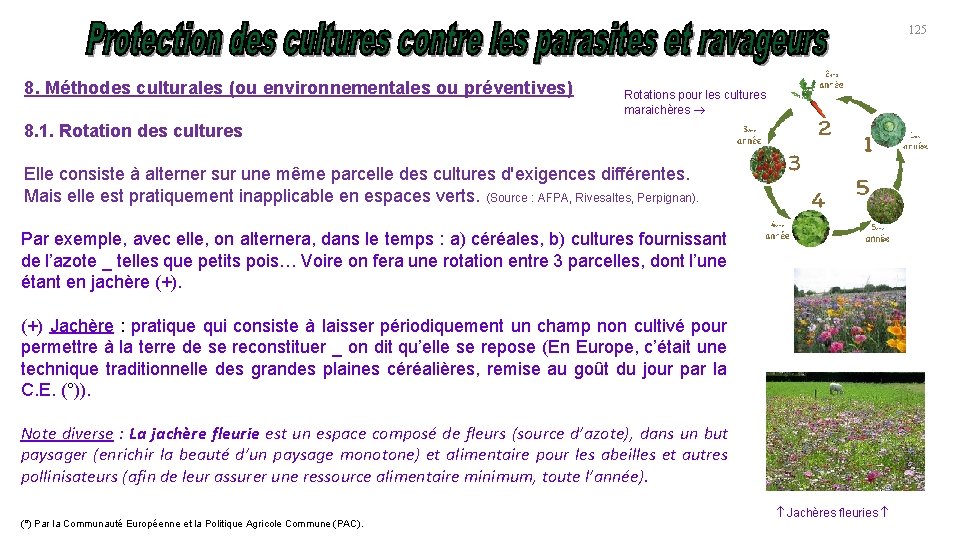 125 8. Méthodes culturales (ou environnementales ou préventives) Rotations pour les cultures maraichères 8.