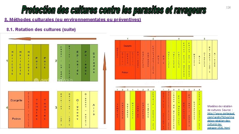 126 8. Méthodes culturales (ou environnementales ou préventives) 8. 1. Rotation des cultures (suite)