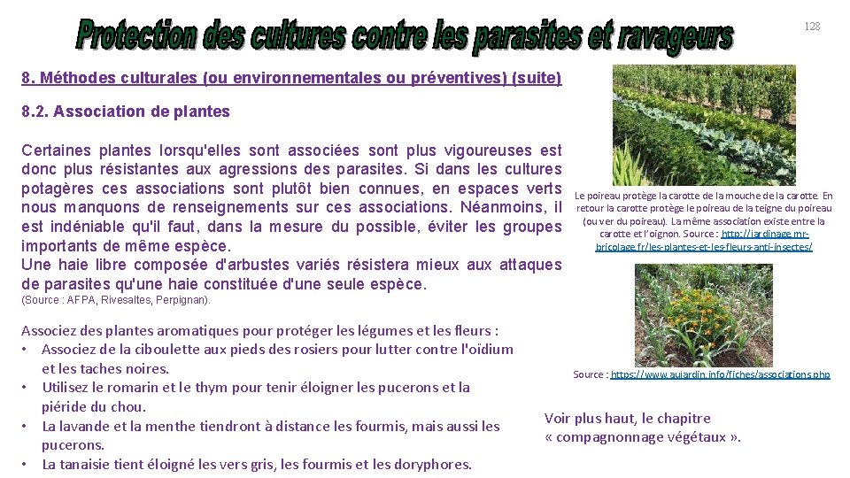 128 8. Méthodes culturales (ou environnementales ou préventives) (suite) 8. 2. Association de plantes