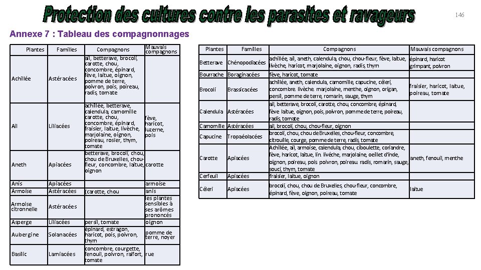 146 Annexe 7 : Tableau des compagnonnages Plantes Achillée Familles Astéracées Ail Liliacées Aneth